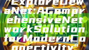 "Explore DewaNet: A Comprehensive Network Solution for Modern Connectivity"